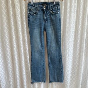 #845 Judy Blue Classic Blue Straight Leg Jeans